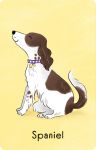 Snap Cards - Dogs