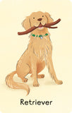 Snap Cards - Dogs