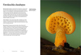 The Secret Life of Fungi - Jay Lichter