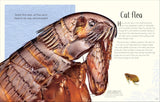 DK An Anthology of Remarkable Bugs - Jess French