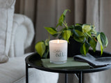A lit coconut wax candle with a clear container and a black base, placed on a round table with a green plant and a book in the background.