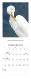 2027 - New Zealand’s Native Birds Calendar