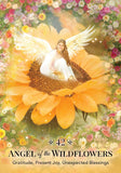 Angels of Nature Oracle: A 44-Card Deck and Guidebook - Sandra-Anne Taylor