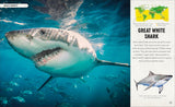 Amazing Animal Journeys: The Most Incredible Migrations in the Natural World -DK