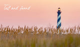 Beach Life: Home, Heart & the Sea - Lauren Liess