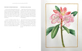 The Botanical Artist: Learn to Draw and Paint Flowers in the Style of Pierre-Joseph Redouté - Francoise Balsan