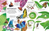 See Inside - Bugs & Butterflies - Usborne Flap Book