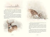 Bunns Rabbit - Alan Barillaro