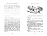 The Lion, The Witch And The Wardrobe: 75th Anniversary Edition - C. S. Lewis