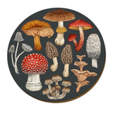 Placemats - Wolfkamp & Stone - Various Designs