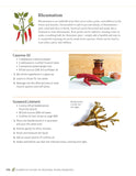 Complete Guide to Natural Home Remedies: Over 100 Recipes Essential Oils, Herbs, and Natural Ingredients to Treat Common Aches and Pains - Melissa Corkhill