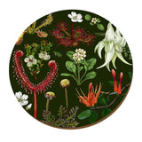 Placemats - Wolfkamp & Stone - Various Designs