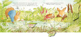 Peter Rabbit: The Great Butterfly Hunt - A Lift-the-Flap Storybook