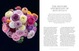 Ranunculus - Naomi Slade