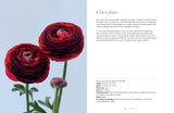 Ranunculus - Naomi Slade
