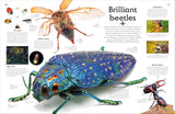 DK Shapes of Nature A Kaleidoscope of the Natural World - Ben Hoare