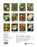 2027 - New Zealand’s Native Flowers Calendar