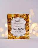 Seed Lights - 5m AA Battery Operated